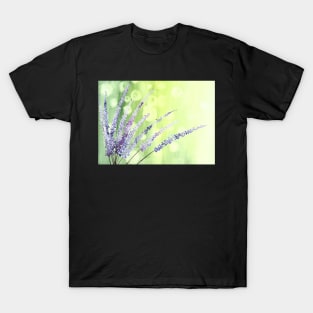 Lovely lavender stalks T-Shirt
